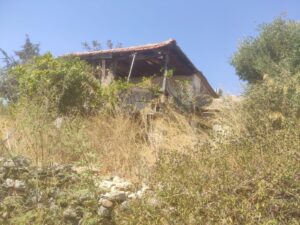 161eab24 ce2a 4f01 986c 4e7cd9fa7c8d