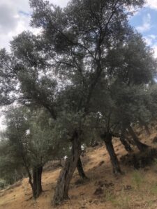 65f389a5 ddc3 4015 9e8e 155d9e6087ee