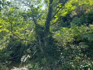 97cc6281 4981 47cb b657 e7183c59098e