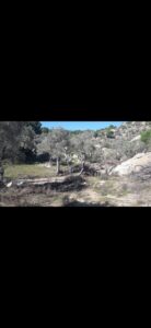 b4a76426 81d4 466d 885e 65730f45d6c8