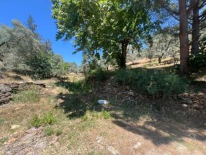 d8f8f1fb 9f1b 455c 88b2 b2dadf0e117b