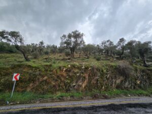 whatsapp image 2026 01 13 at 15.44.36 (5)