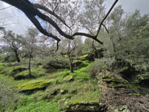 whatsapp image 2026 01 31 at 11.21.13 (1)